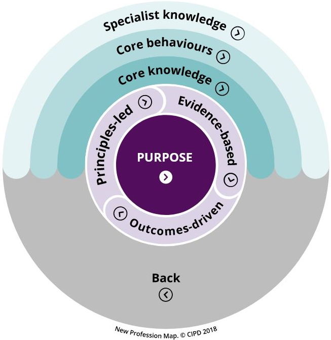 critical thinking cipd profession map